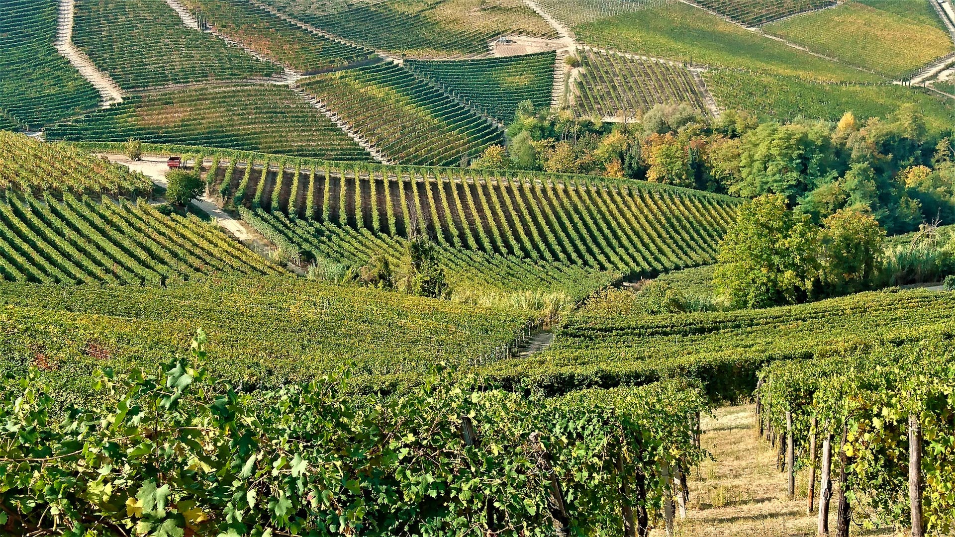_Piemonte_