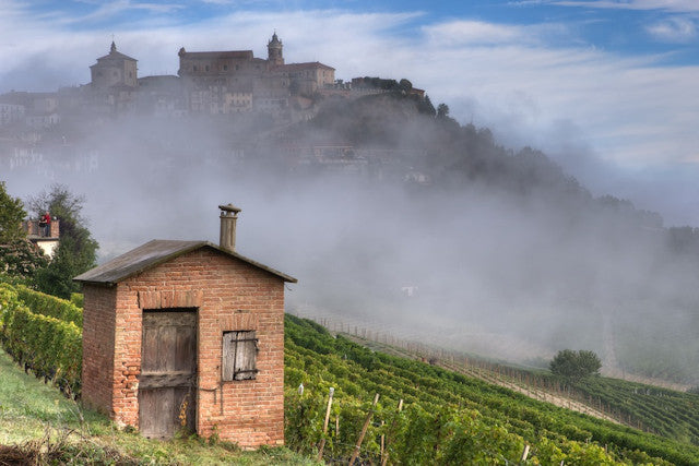 alberto voerzio italian wine