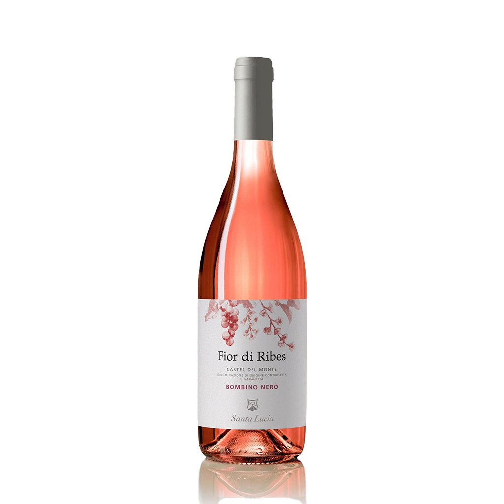 2022 Santa Lucia  'Fior di Ribes' Rose